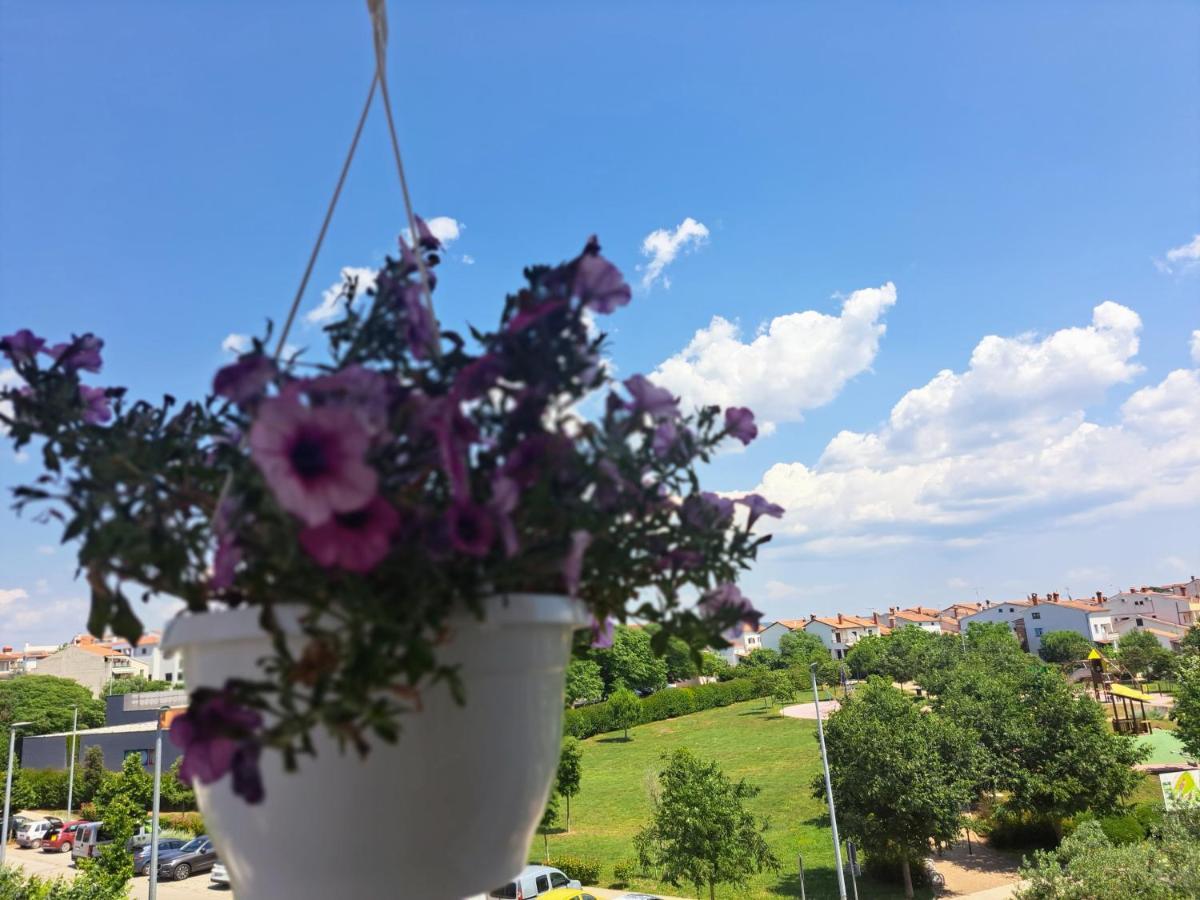 Battistella'S Near The Sea Apartman Rovinj Kültér fotó
